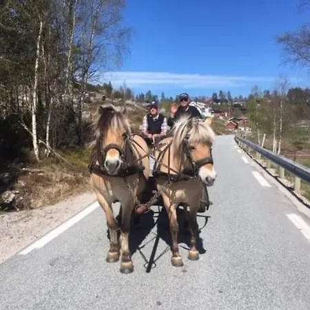 Fjellslottet Holiday home