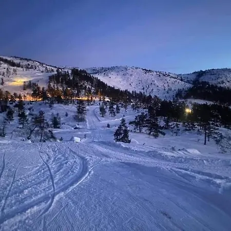 Holiday home Fjellslottet